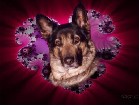 Poune       Tu as �t� ma vie