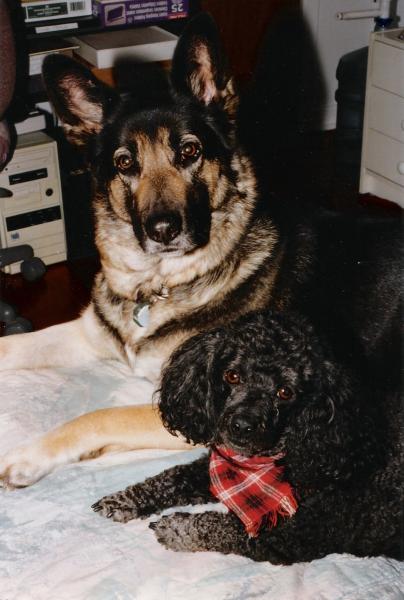 Poune & Cowboy   O� SONT-ILS ? (Po�me De JRP)