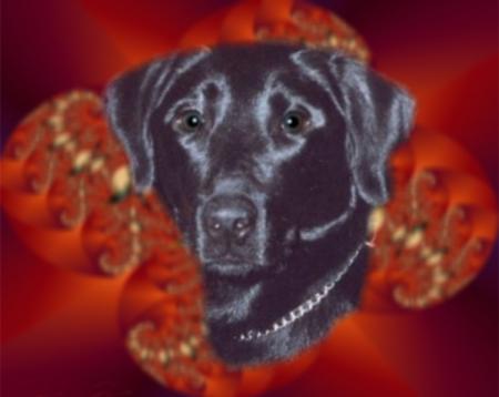 Sally     Murmure  (po�me de Tartine)