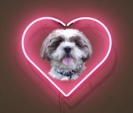 PeeWee             Un r�ve